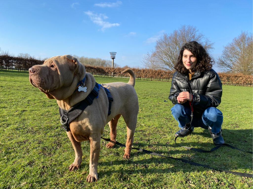 Winnie's World dog trainer Kent Essex